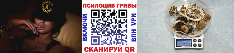 Галлюциногенные грибы мицелий  где купить наркоту  Саяногорск 